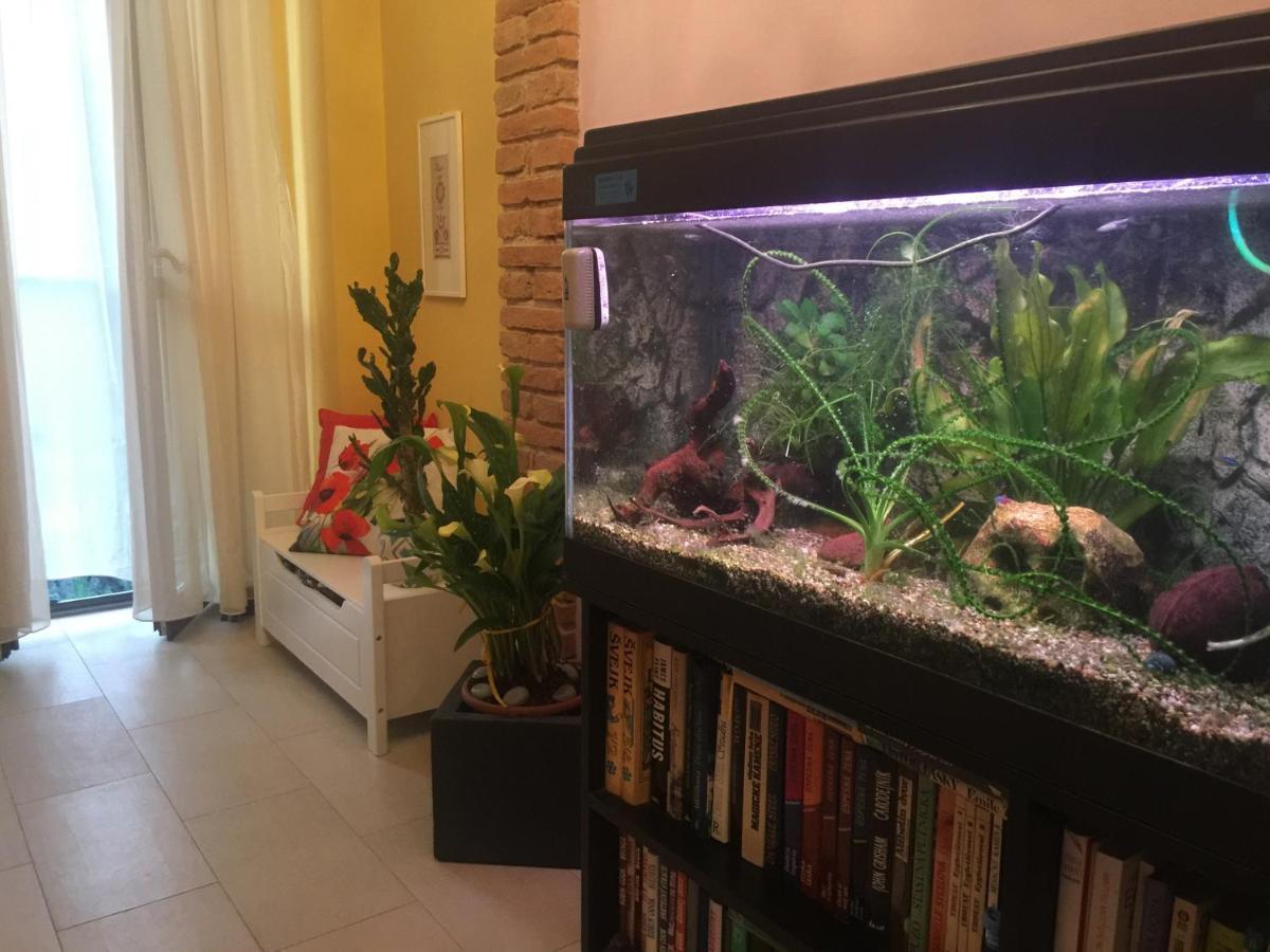 B&B La Casa D'Artista Ortignano Raggiolo Eksteriør billede